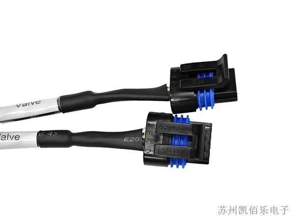 Delphi線(xiàn)束